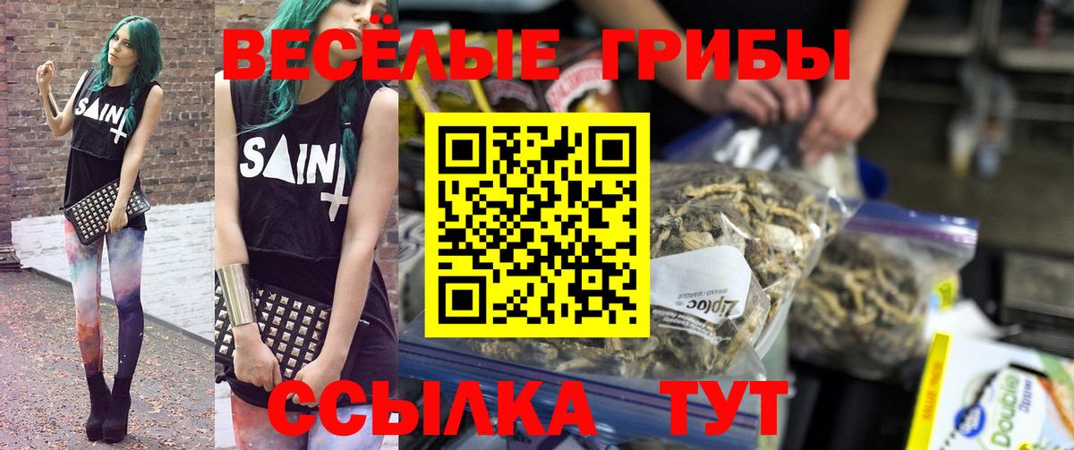 Галлюциногенные грибы Cubensis Павлово