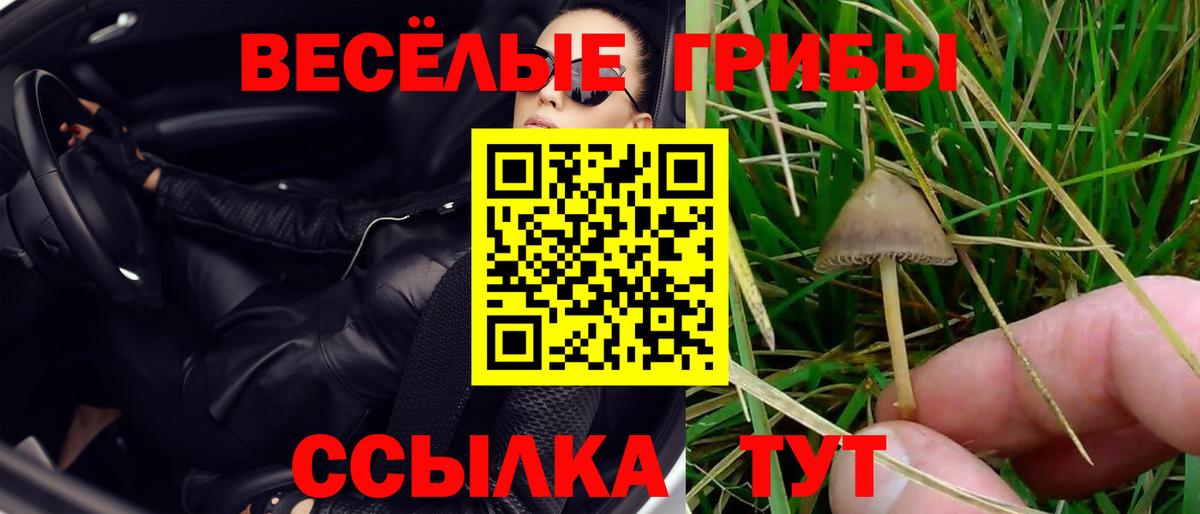 Псилоцибиновые грибы GOLDEN TEACHER  Вход с VPN  Павлово 